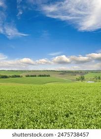 Midlands Dairy Intensive Ryegrass Pivot Network