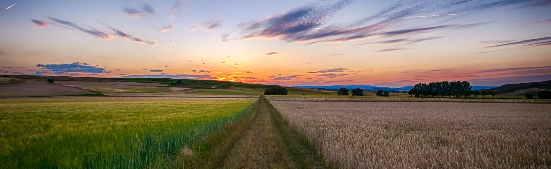 Queensland Broadacre Cotton & Grain Precision Scheme